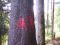 PICT0045.JPG